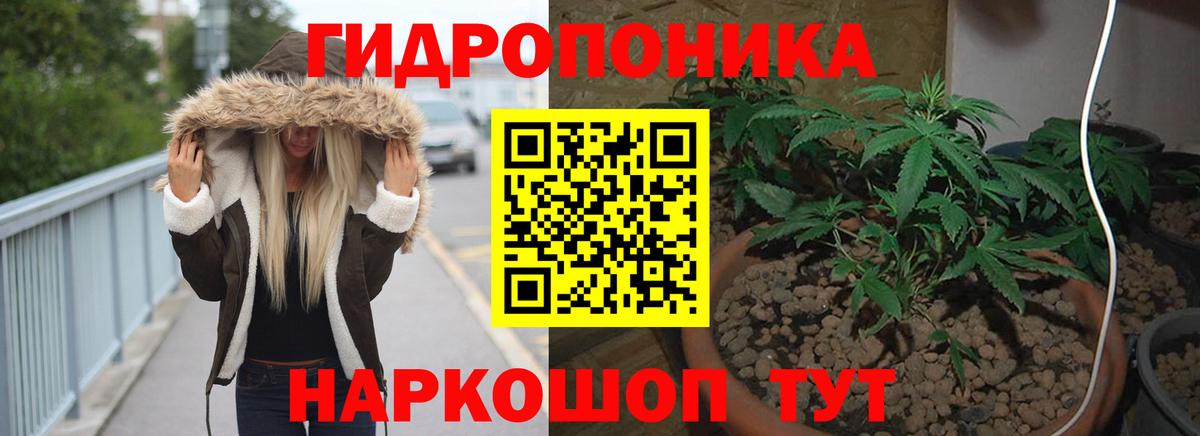 Шишки марихуана планчик  Бошки Шишки сатива  Каннабис ГИДРОПОН  Вход с VPN  Торжок 